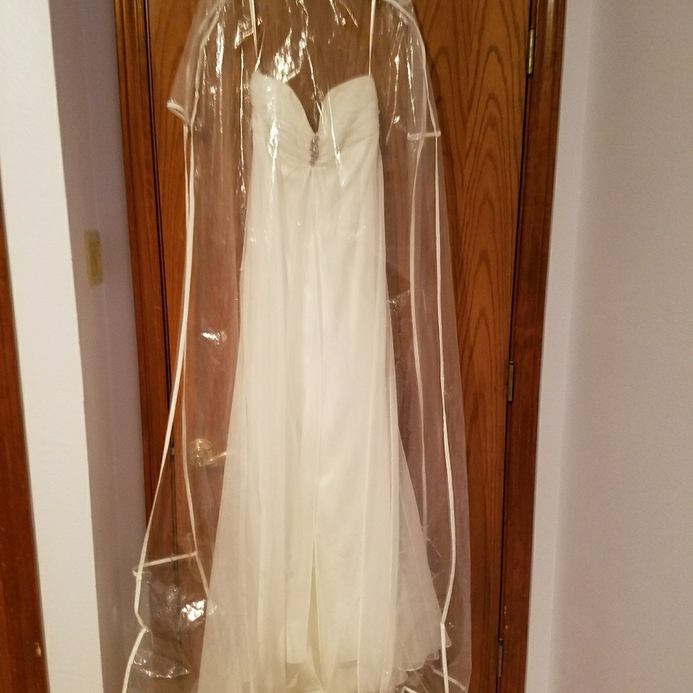 David's Bridal Wedding dress.